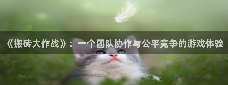 杏耀平台得专用通道：《搬砖大作战》：一个团队协作与公平竞争的