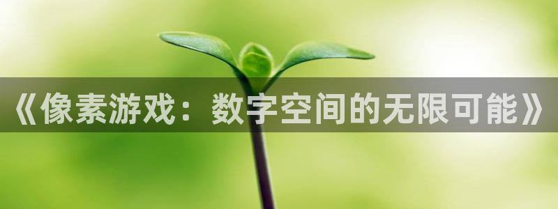 杏耀总代官网