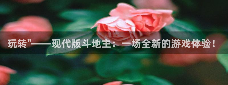 杏耀平台到底能玩吗