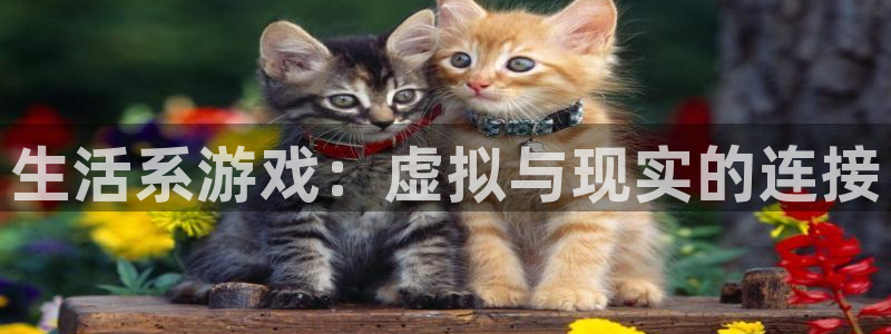 杏耀代理连接