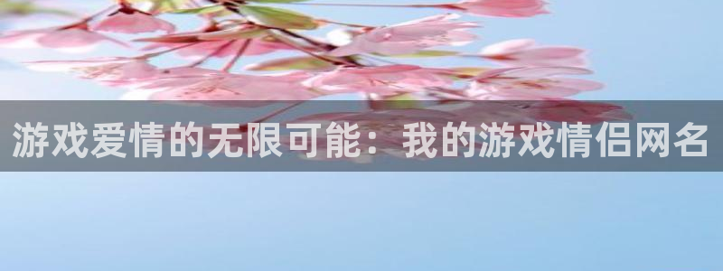 杏耀总代怎么样