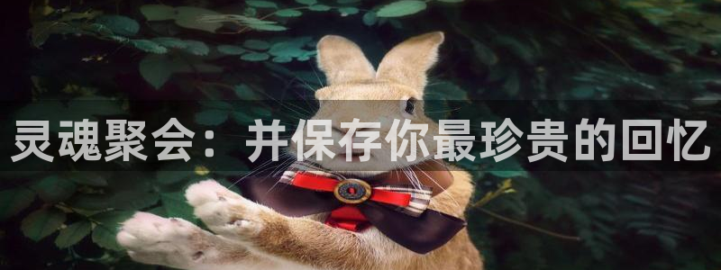 杏耀官方代理