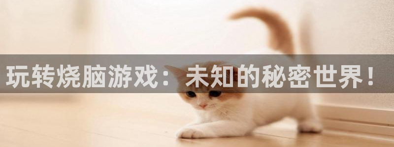 杏耀代理注册登陆