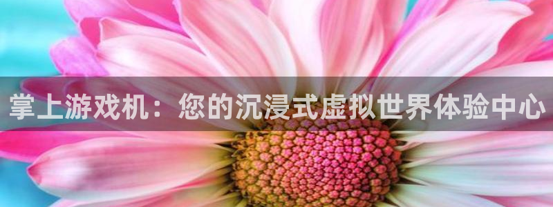 杏耀官网网站中心