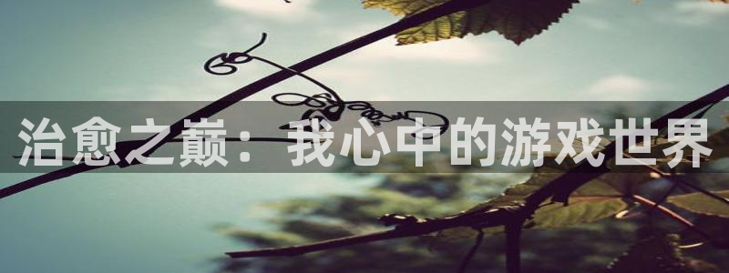 杏耀平台官方登陆：治愈之巅：我心中的游戏世界