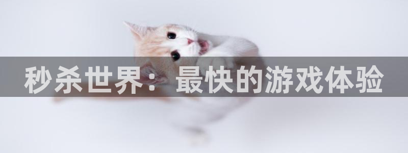 杏耀代理注册登陆：秒杀世界：最快的游戏体验