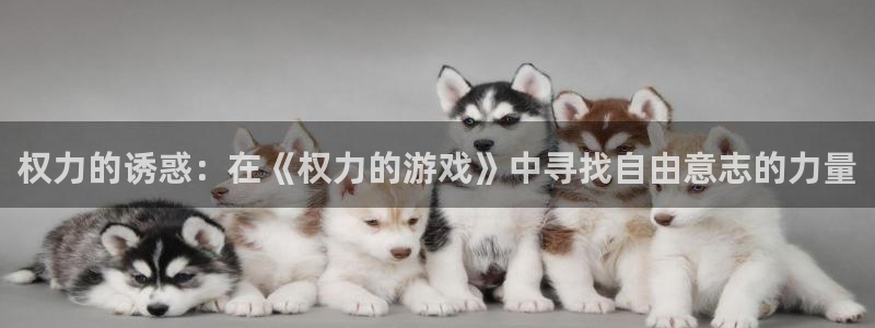 杏耀是什么平台：权力的诱惑：在《权力的游戏》中寻找自由意志的