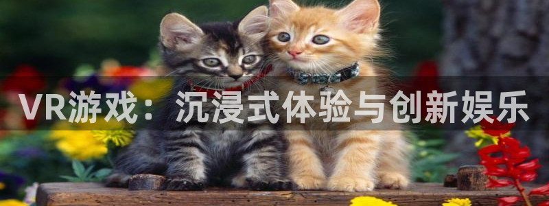 杏耀代理主管qq